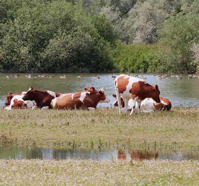 Omschakeling naar duurzame landbouw