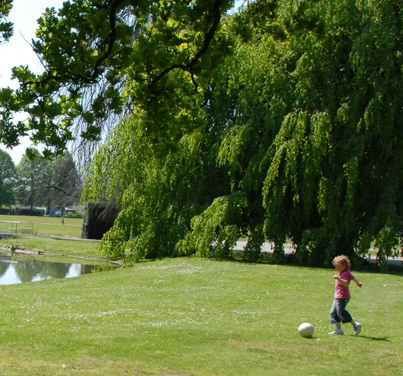 Expertise natuur en gezonde leefomgeving