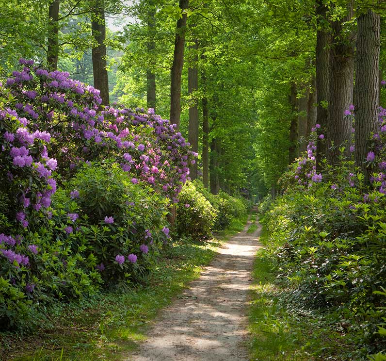 Klimaatbestendig en biodiversbeheer van landgoed