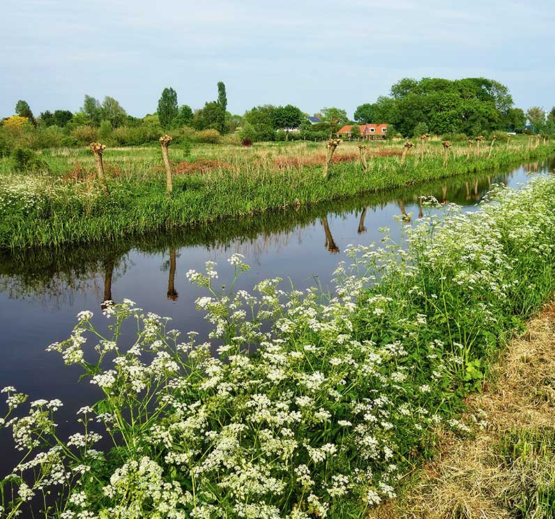 Kwaliteitsimpuls Groene Omgeving (KGO)