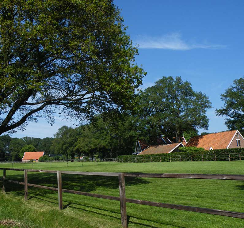 Rood voor Groen regeling