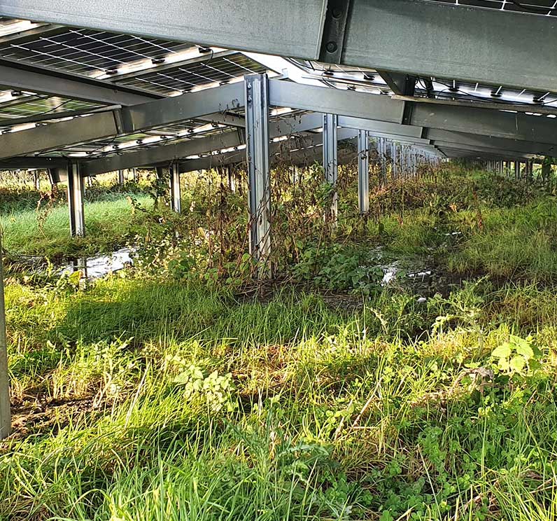 Onderzoek natuurinclusieve zonnevelden
