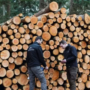 Natuur- en bosbeheer