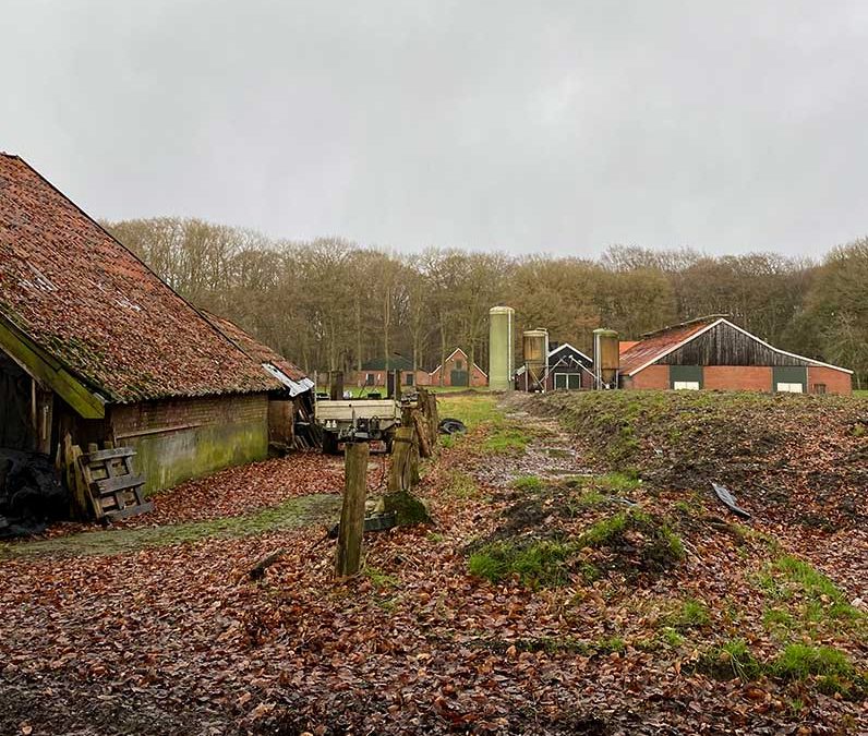 Een goedgekeurde Lbv: hoe verder?