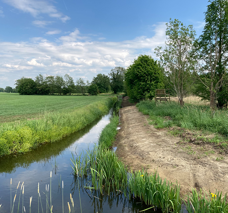 natuurvriendelijke over groen1