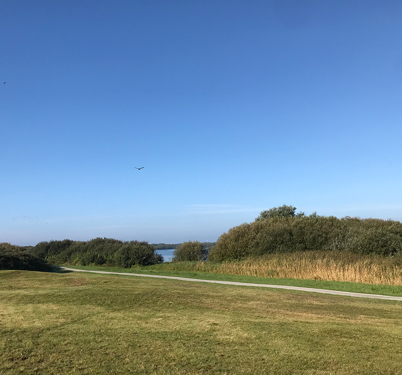 Westerplas Eelerwoude a