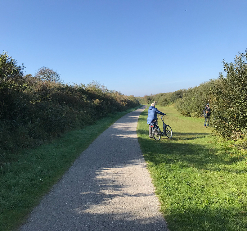 Westerplas Eelerwoude c