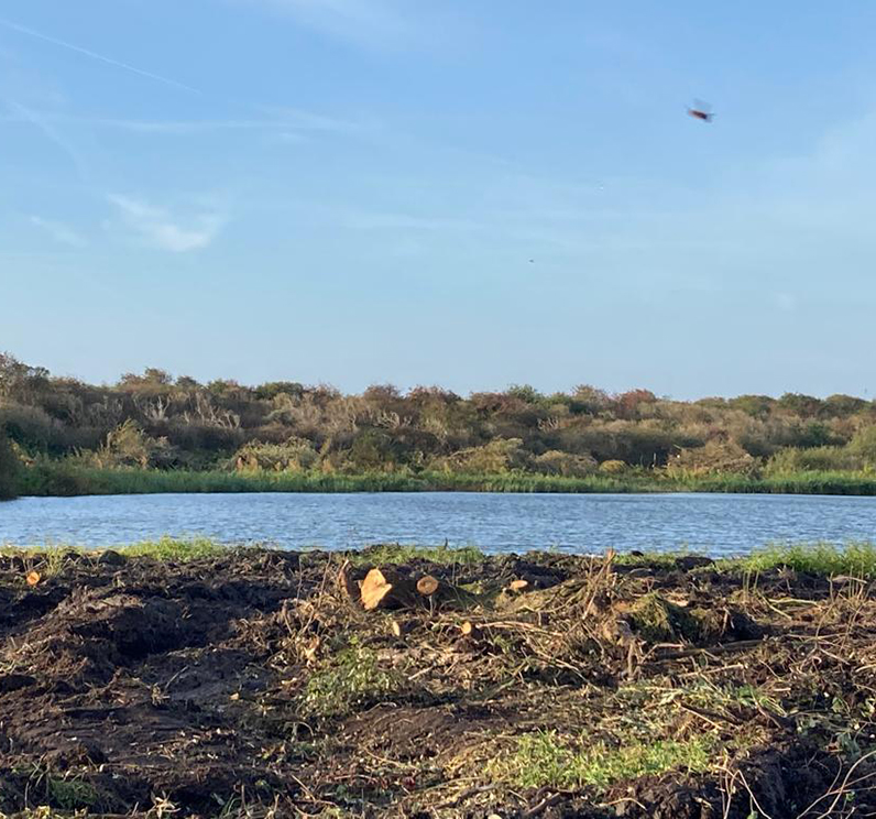 beter zicht op de Westerplas Eelerwoude