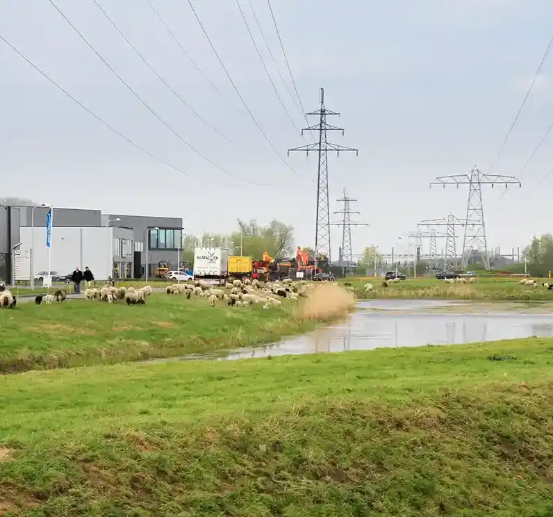 Vergroening bedrijventerreinen Eelerwoude