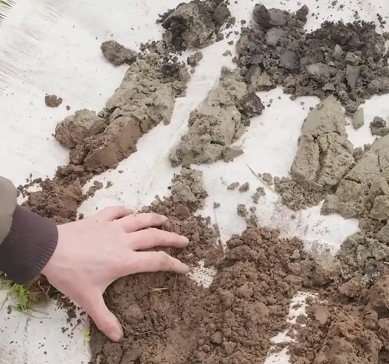 Biodiversiteit en de bodem