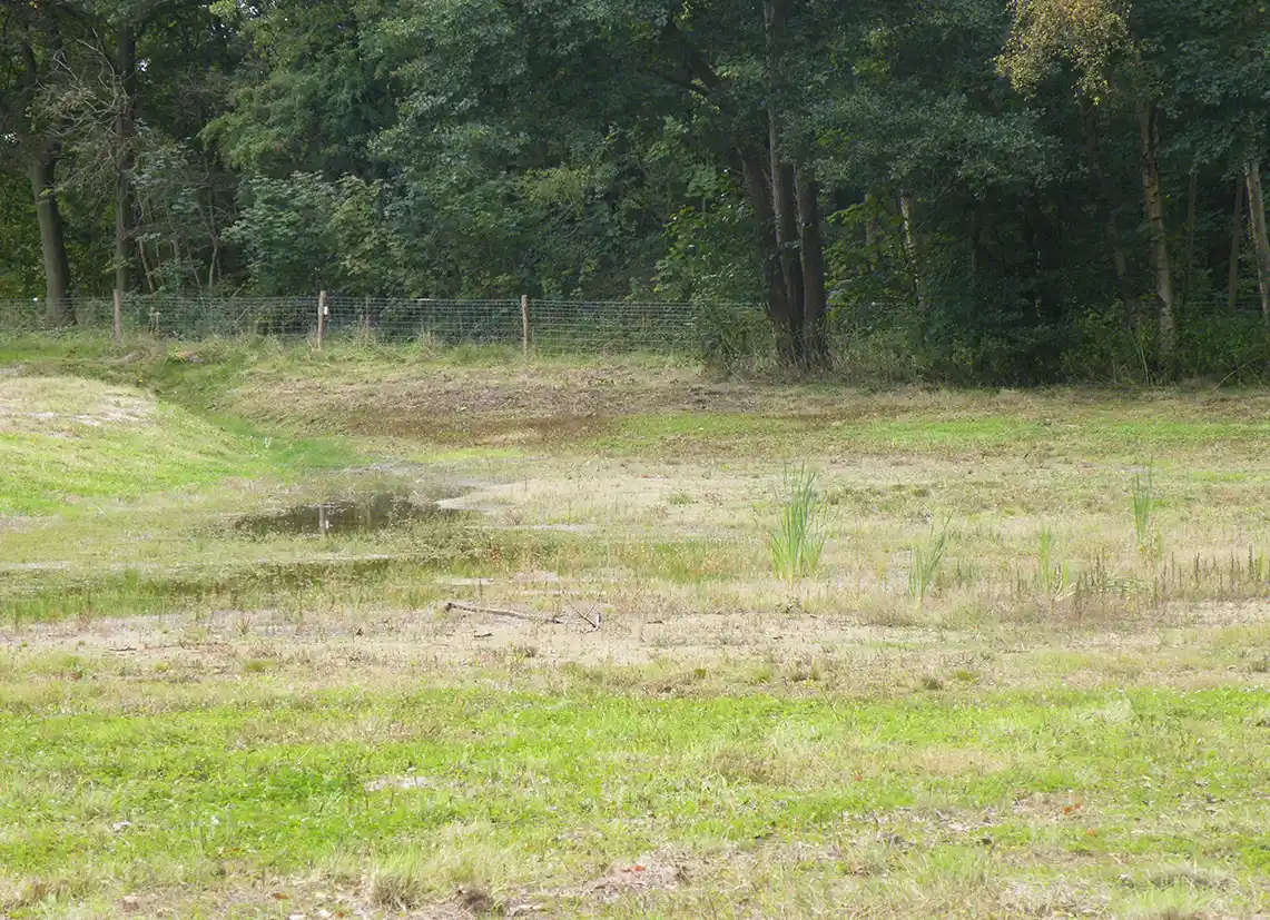 De Zanderij klimaatadaptief