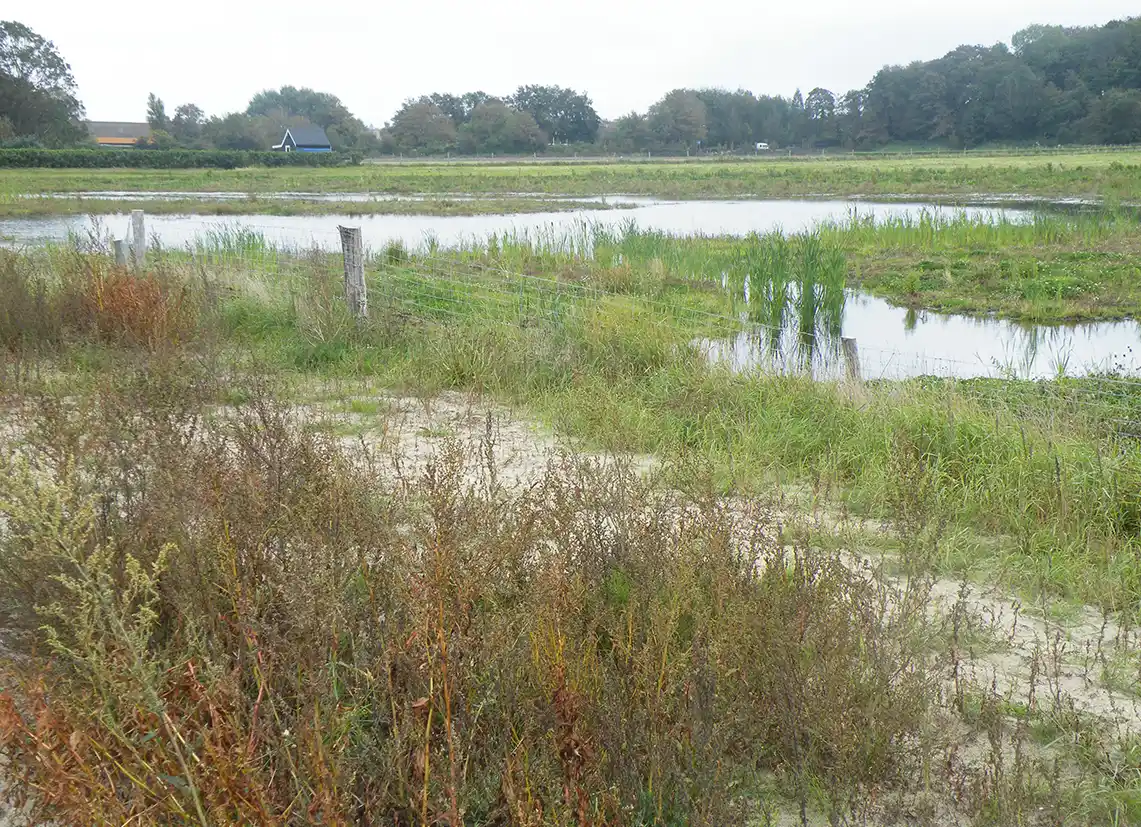 De Zanderij water vasthouden