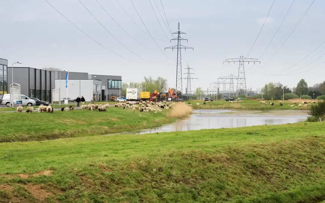 Een integrale aanpak voor een groene, gezonde en productieve werkomgeving