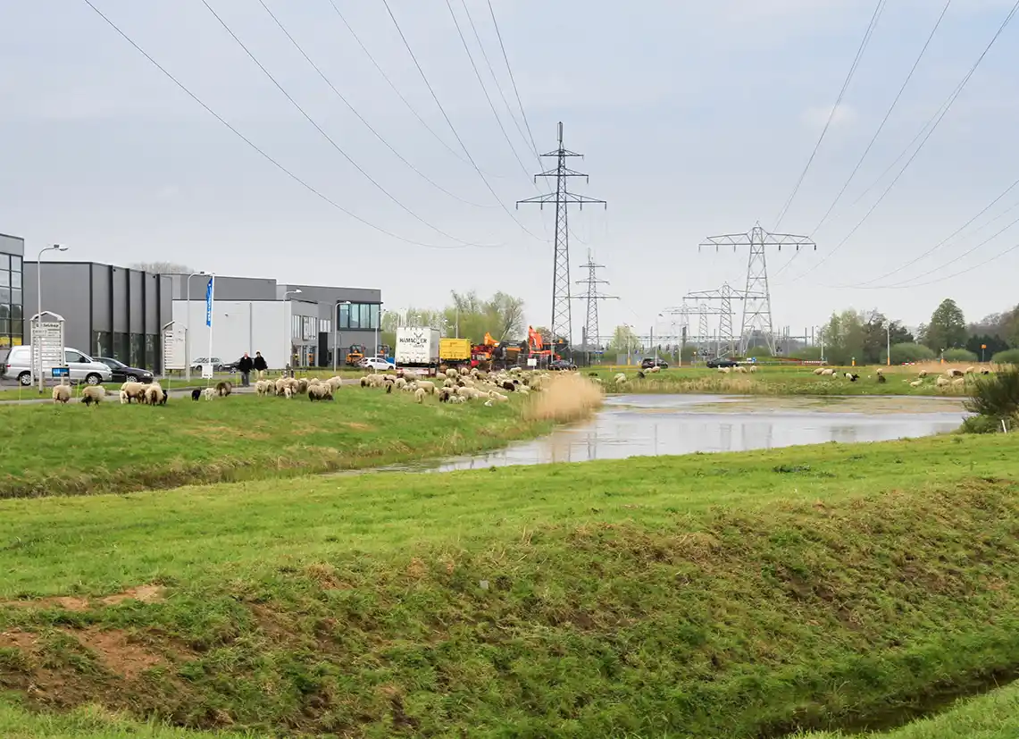 Een integrale aanpak voor een groene, gezonde en productieve werkomgeving