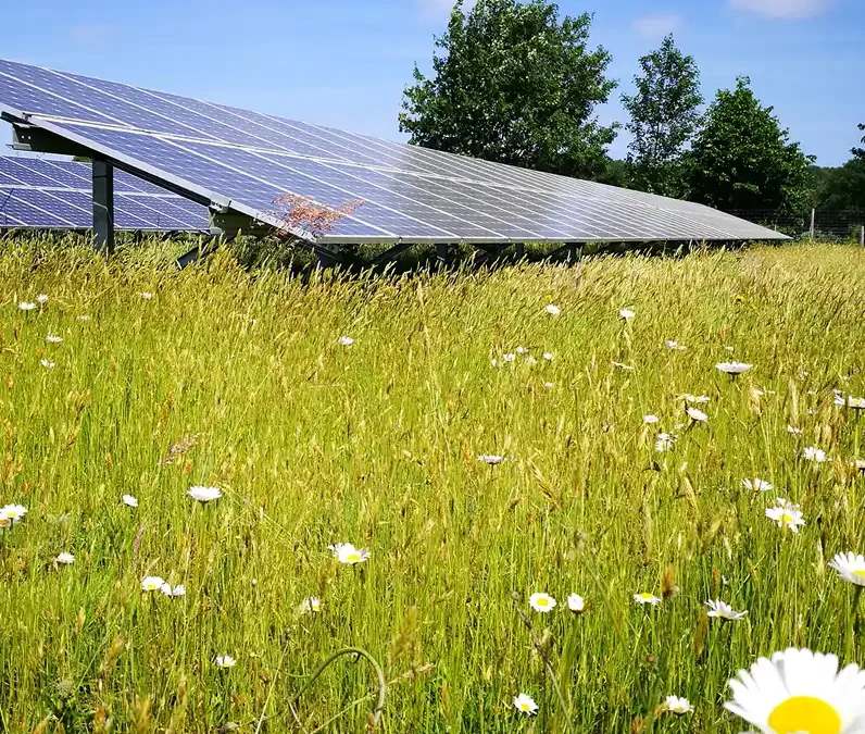 Zonnepanelen en windmolens op NSW-landgoederen