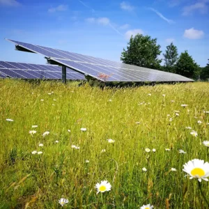 Bodembelichtingstoets voor zonnevelden