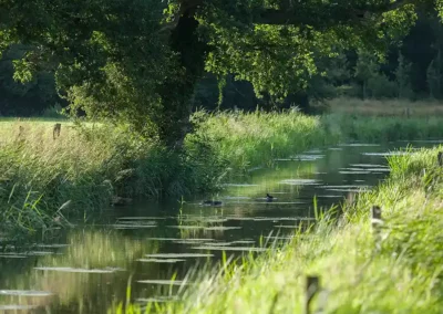 Methodiek Basiskwaliteit Natuur