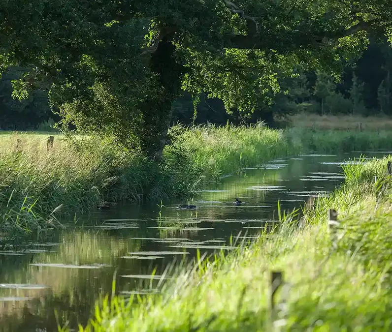 Methodiek Basiskwaliteit Natuur