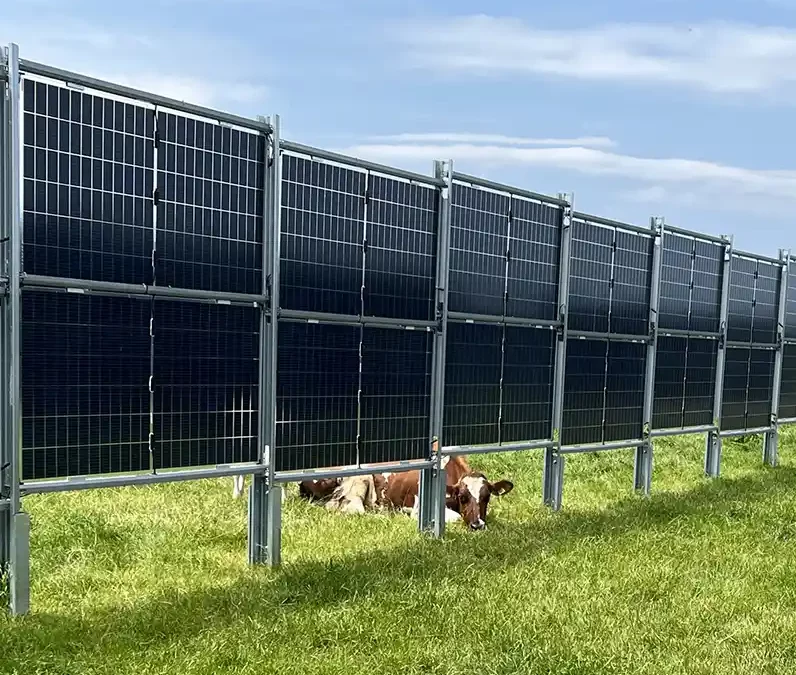 Onderzoek naar zonnesystemen in de melkveehouderij