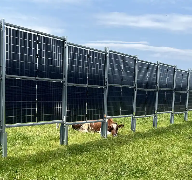 Onderzoek naar zonnesystemen in de melkveehouderij