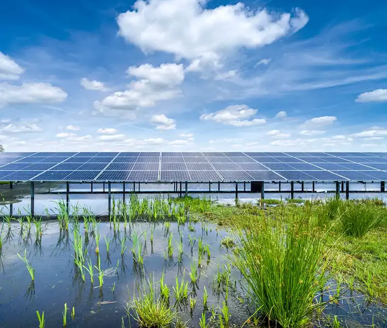 Kwaliteitsbudget voor ecologie en landschapskwaliteit bij wind- en zonneparken