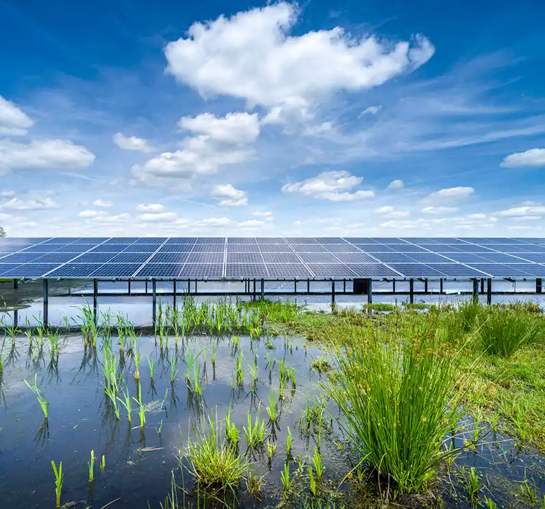 Kwaliteitsbudget voor ecologie en landschapskwaliteit bij wind- en zonneparken