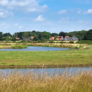 Natuurontwikkelingsplan