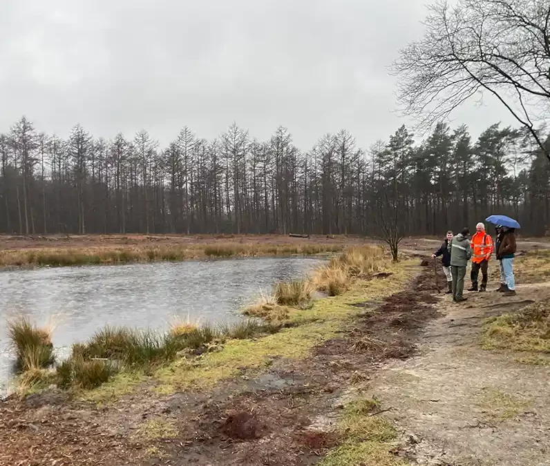 Herstelmaatregelen zure vennen