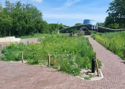 Herinrichting omgeving bezoekerscentrum