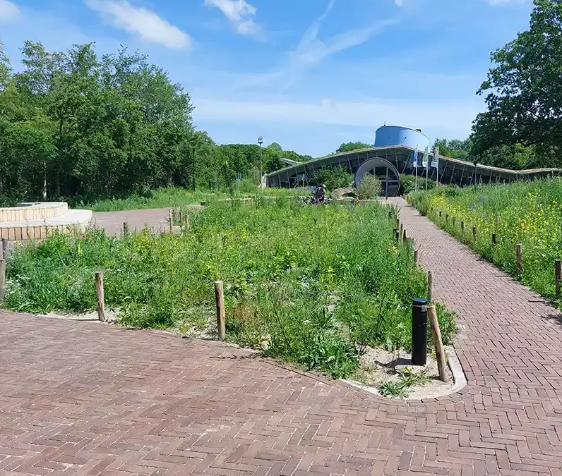 Herinrichting omgeving bezoekerscentrum