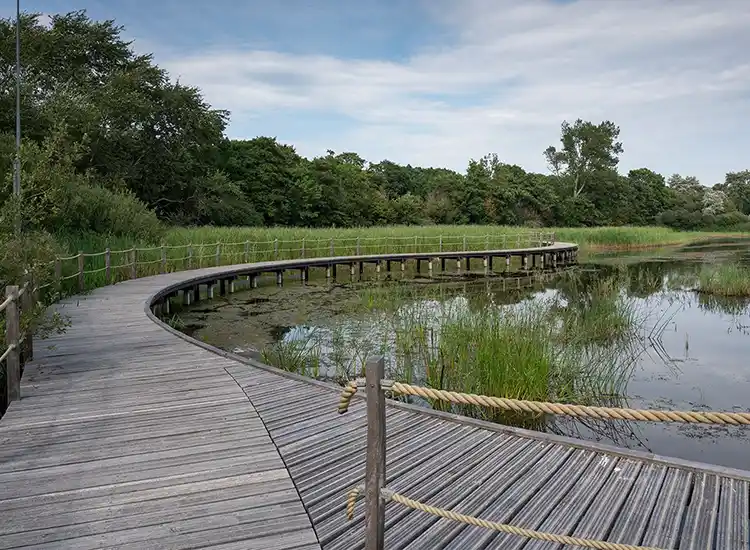 presentatie Vitale Vakantieparken 2