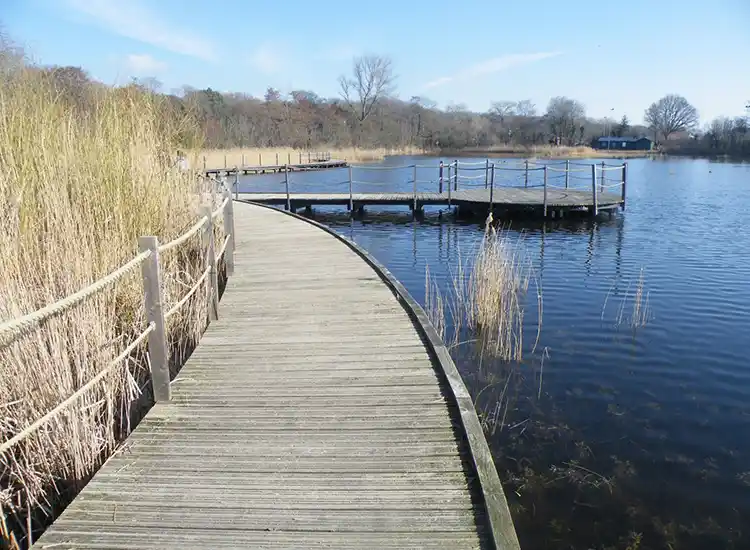 presentatie Vitale Vakantieparken
