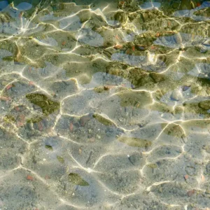 Waterkwaliteitsbeheer