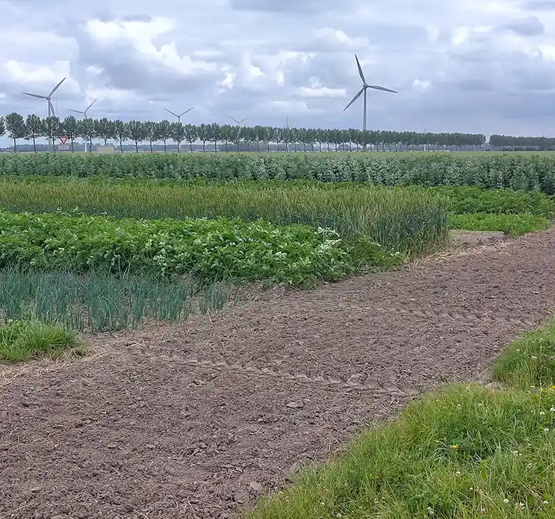Excursie: Boerderij van de Toekomst