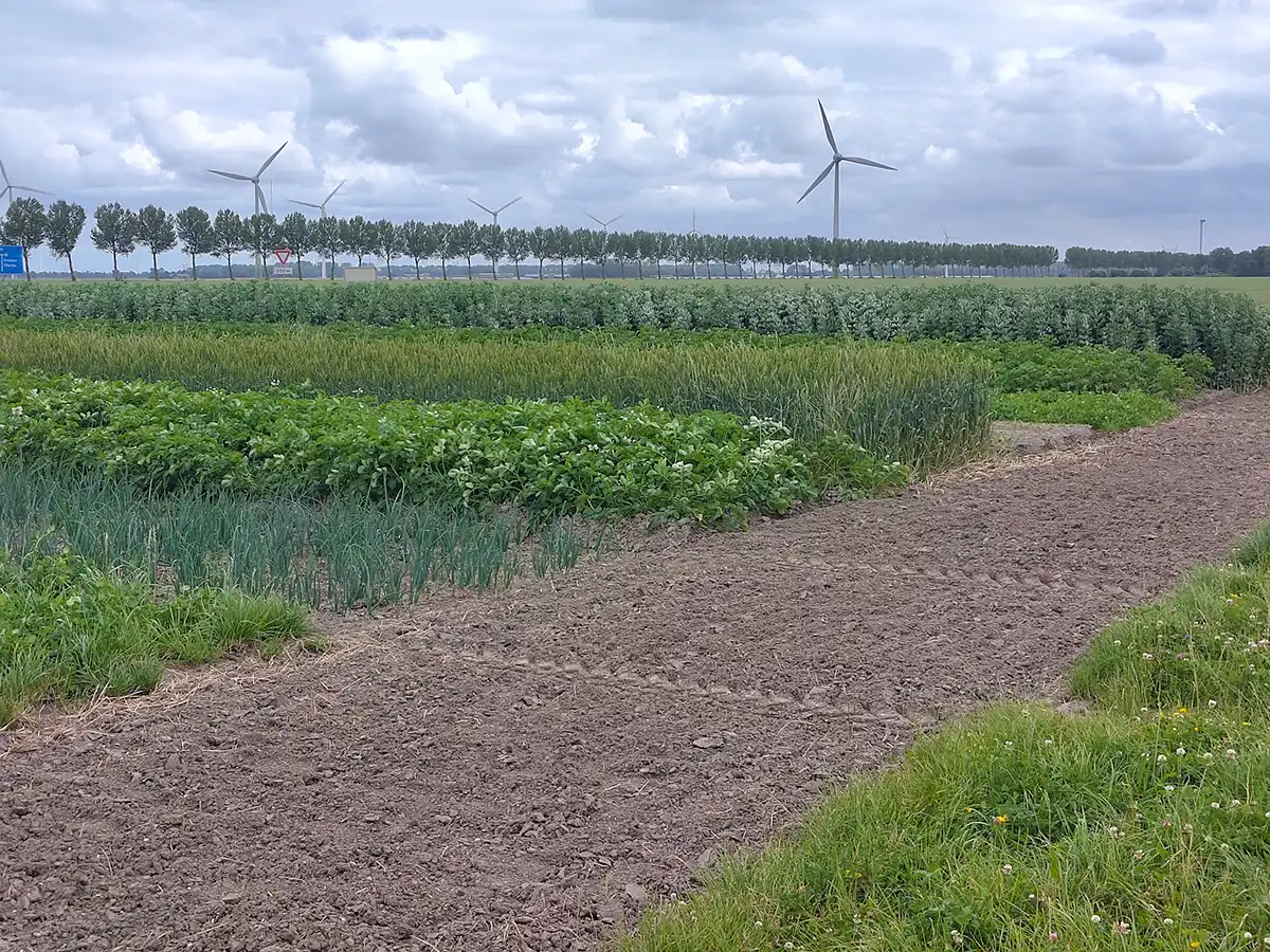 excursie Boerderij van de Toekomst2
