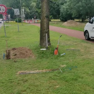 European Tree Technician