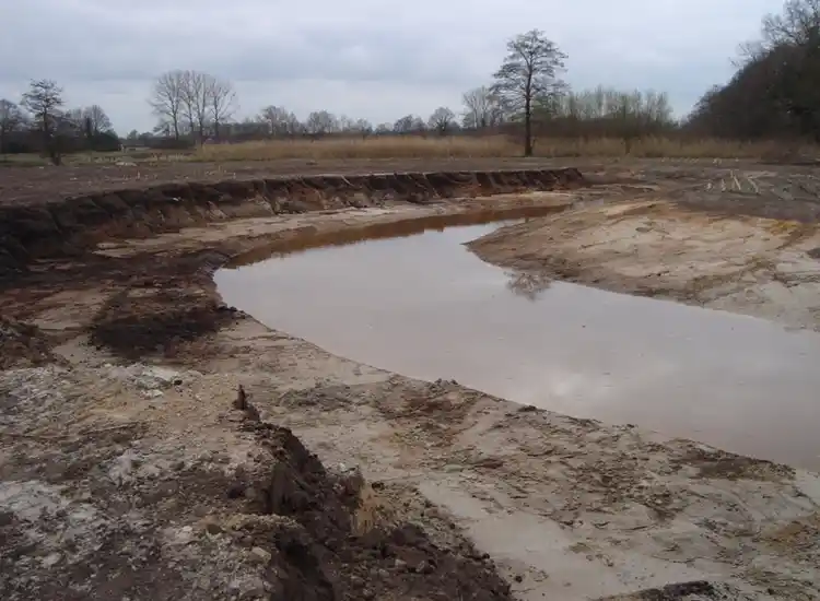 Zwarte Meer met waterriet