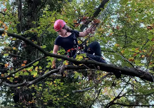 Ecoloog op hoog niveau