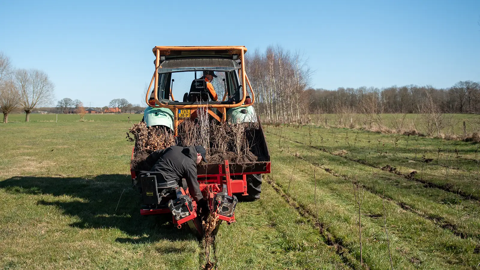 De jonge boomjes worden door firma Noest in de grond gezet | Foto: Provincie Overijssel De jonge boomjes worden door firma Noest in de grond gezet | Foto: Provincie Overijssel